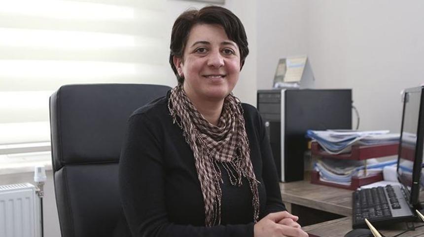 Sokak Hayvanları İ&ccedil;in Hassasiyet &Ccedil;ağrısı