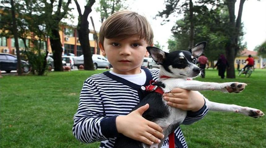 Sokak Hayvanlarına Karşı Duyarlı Olmaya Davet