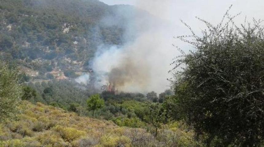 Elektrik Tellerinden &Ccedil;ıkan Yangında 4 Hektar Orman K&uuml;l Oldu