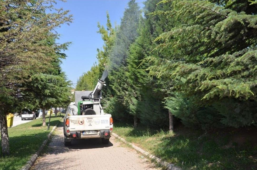 Boz&uuml;y&uuml;k&rsquo;te İla&ccedil;lama &Ccedil;alışmaları Devam Ediyor