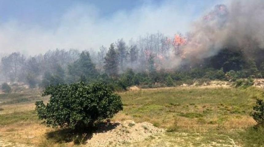 Manavgat'taki Yangında 5 Hektar Alan Zarar G&ouml;rd&uuml;