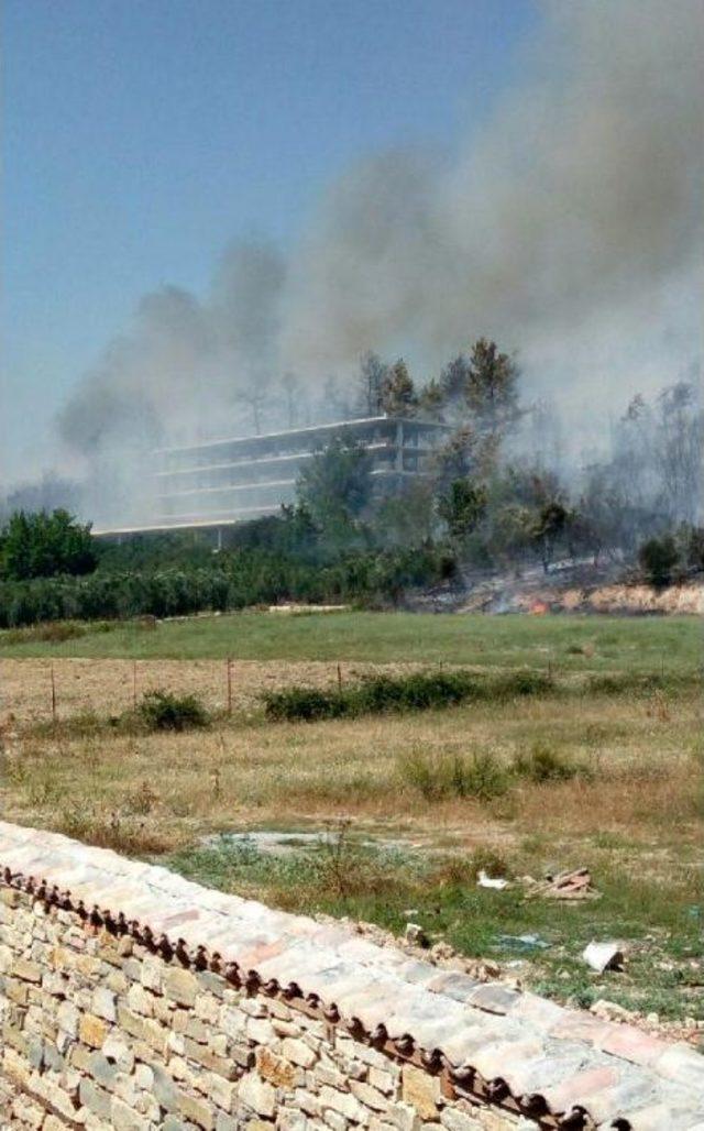 Manavgat'taki Yangında 5 Hektar Alan Zarar Gördü