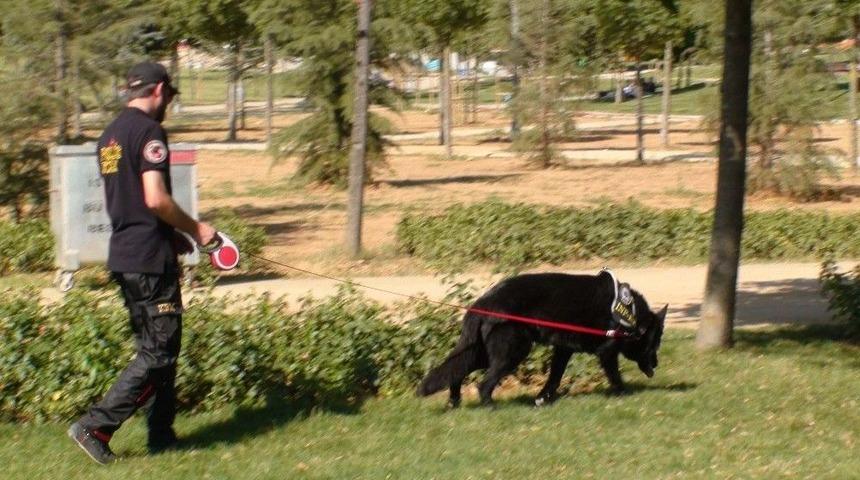 Pendik&rsquo;te Hava Destekli Uyuşturucu Operasyonu