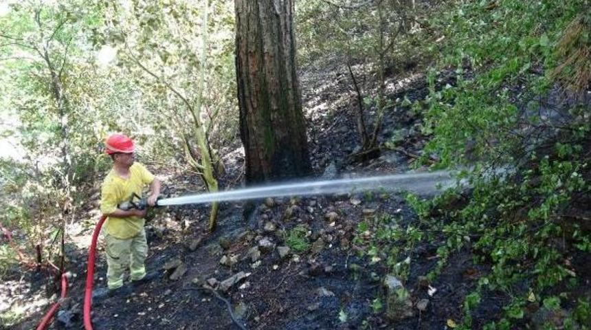 Kazdağlarında Kundaklama Ş&uuml;phesi Yaratan Orman Yangını (3)