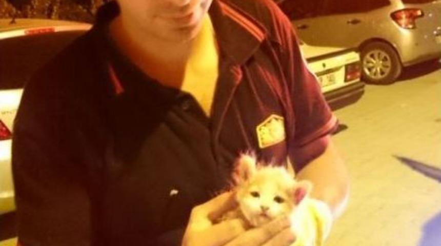 Boruya Sıkışan Kediyi İtfaiye Kurtardı