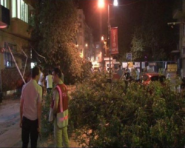 Kadıköy'de Kafenin Üzerine Ağaç Devrildi: 2 Yaralı