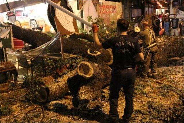 Kadıköy'de Kafenin Üzerine Ağaç Devrildi: 2 Yaralı (Ek)