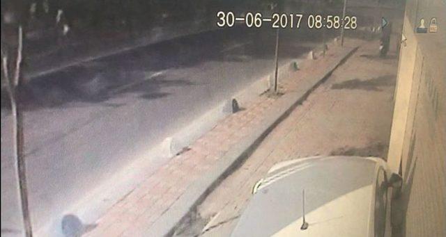 (özel Haber) Kadının Fendi Kapkaççıyı Yendi 1