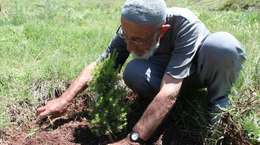 90&rsquo;lık Dede &Ouml;mr&uuml;n&uuml; Fidan Dikmeye Adadı