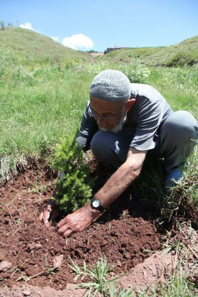 90’lık Dede Ömrünü Fidan Dikmeye Adadı