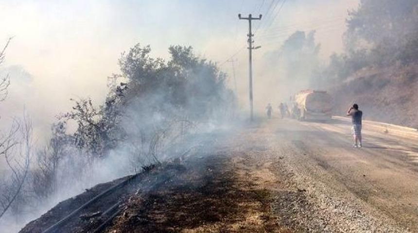 Alanya'da Turistik B&ouml;lgede Makilik Yangını