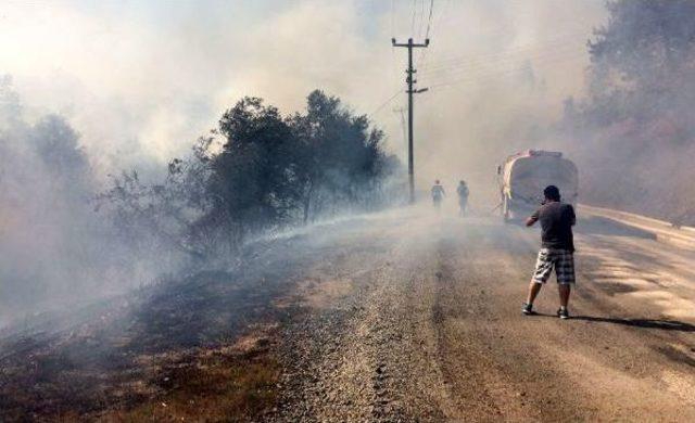 Alanya da Turistik B&ouml;lgede Makilik Yangını 1