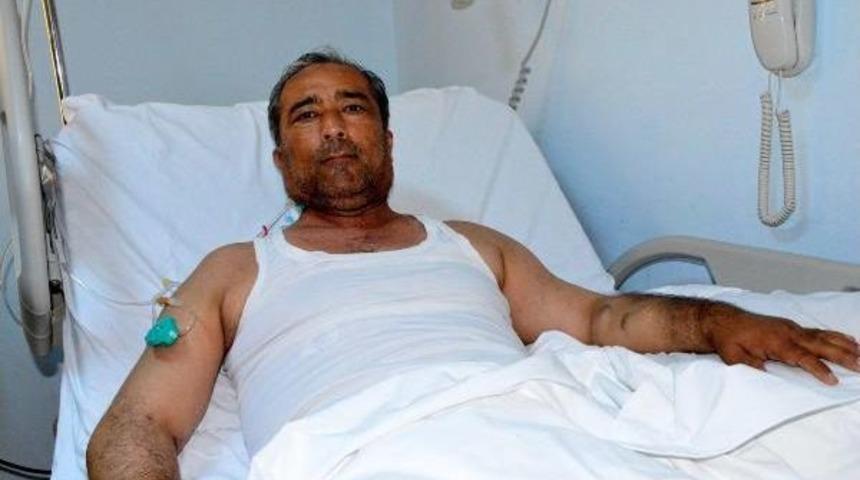 B&ouml;brek Nakli Ile &Ccedil;ifte Bayram Yaptılar