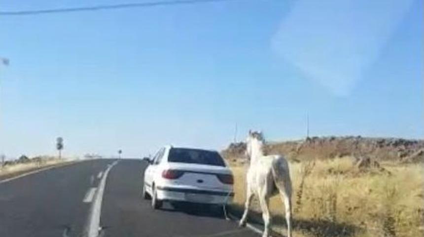 Otomobilin Arkasına Bağlanan Atın G&ouml;r&uuml;nt&uuml;leri Y&uuml;rek Sızlattı
