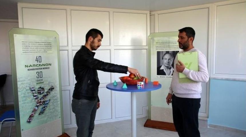 Bonzai Tehlikesi Artıyor