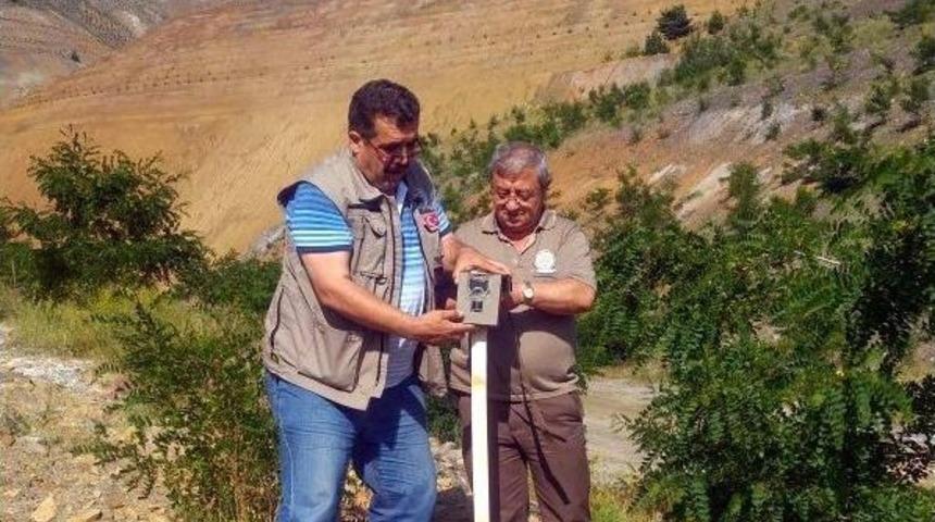 K&uuml;re&rsquo;de Ayılar Gece Vardiyasında &Ccedil;alışan İş&ccedil;ilerin Korkulu R&uuml;yası Oldu