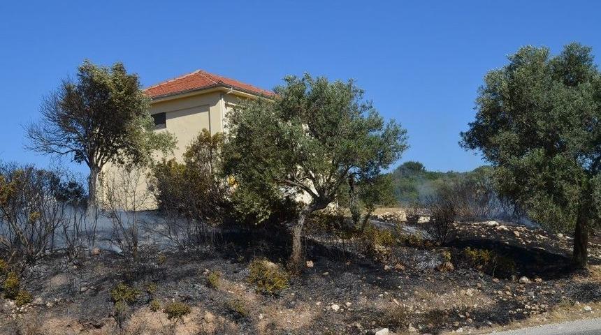 Didim&rsquo;de Makilik Yangını Korkuttu