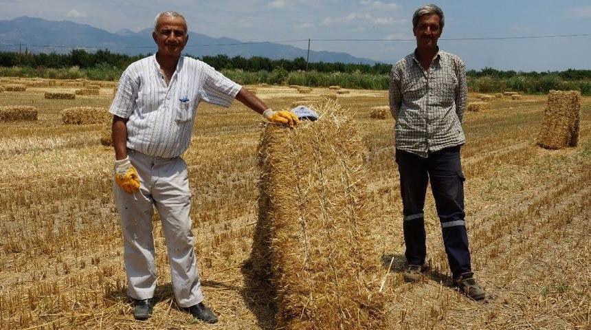 Sıcağı En &Ccedil;ok Harmanda &Ccedil;alışanlar Hissediyor