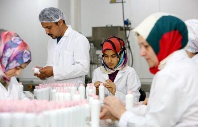 Gül Parfümü Üretimine Mutfakta Başladı, Bugün Fabrika Kurdu