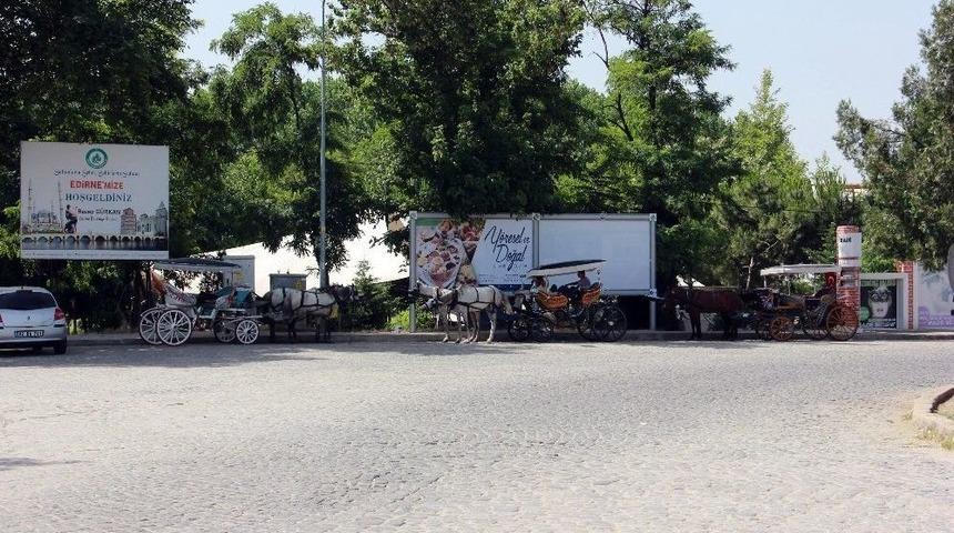 (&ouml;zel Haber) 3 Kuşaktır Faytonculuk Yapıyorlar