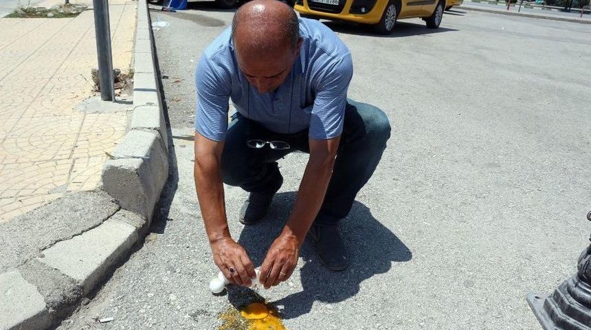 Asfaltta Yumurta Pişirip Yedi