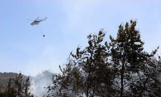 Alanya'da Turistik Bölgede Makilik Yangını - Ek Fotoğraflar