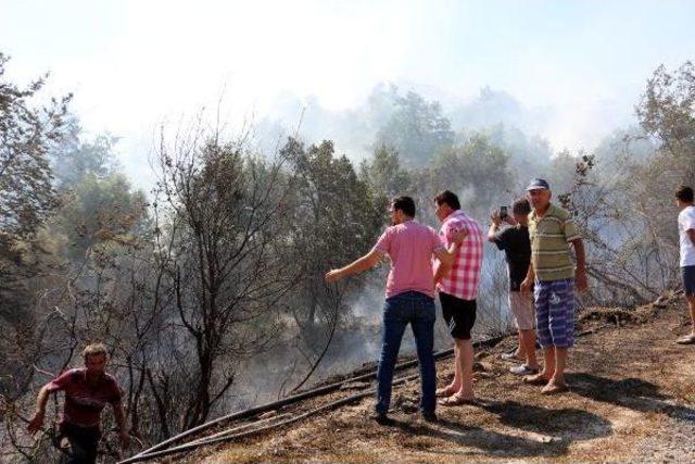 Alanya'da Turistik Bölgede Makilik Yangını - Ek Fotoğraflar