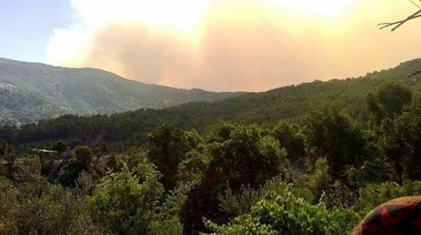 Anamur&rsquo;da Orman Yangını