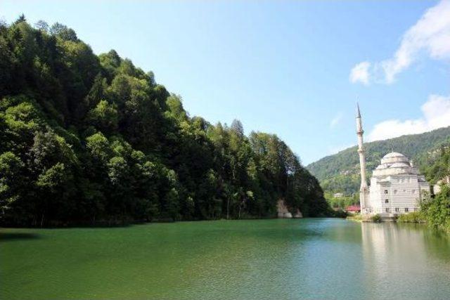 Hemşin Belediyesi Devraldığı Hes i K&uuml;&ccedil;&uuml;lt&uuml;p, Yapay G&ouml;leti Kurtardı 1