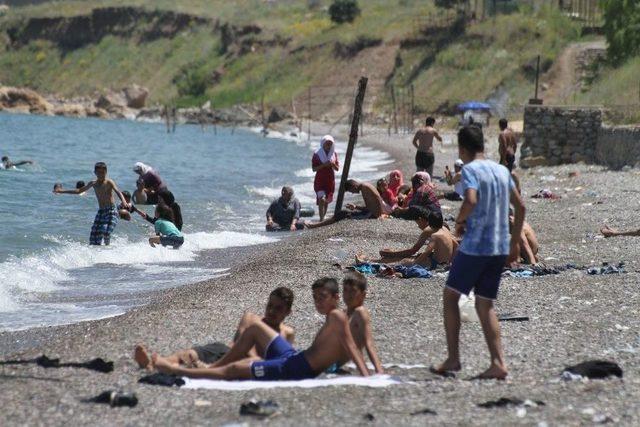 Van Gölü Sahilleri Doldu Taştı