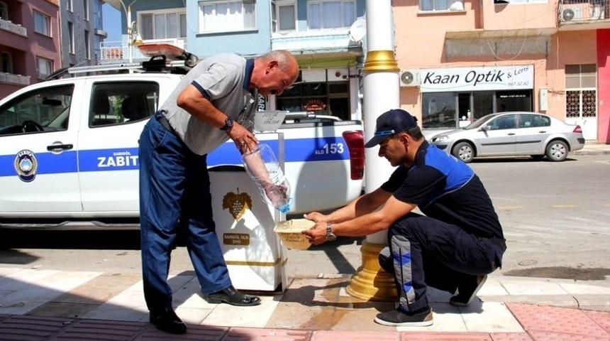 Sokak Hayvanları İ&ccedil;in Zabıta Amirinden &Ouml;rnek Davranış