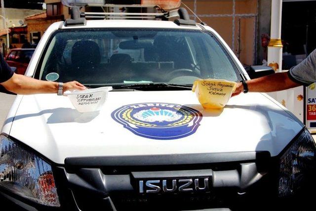 Sokak Hayvanları İ&ccedil;in Zabıta Amirinden &Ouml;rnek Davranış 1