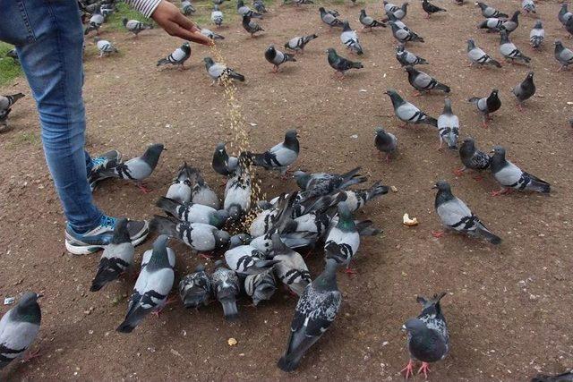 Yem Sattıkları İ&ccedil;in Y&uuml;zlerce Lira Ceza &Ouml;d&uuml;yorlar 2