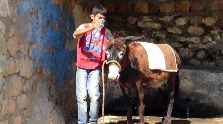 Siirt&rsquo;te Sıcaklar Bunaltıyor