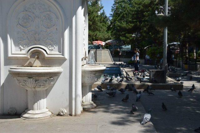 Bu Da "emekliler Ve İhtiyarlar Parkı" 1