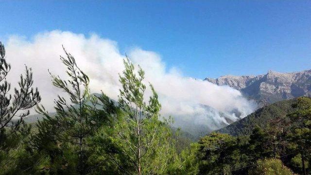 Anamur’daki Orman Yangını