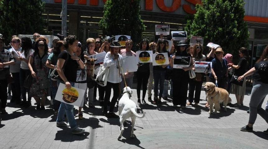 Hayvanları Koruma Kanunundaki Değişiklik Tasarısı Protesto Edildi