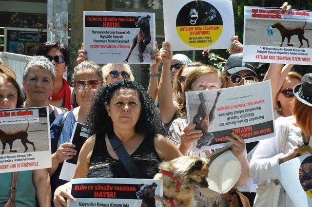 Hayvanları Koruma Kanunundaki Değişiklik Tasarısı Protesto Edildi 1