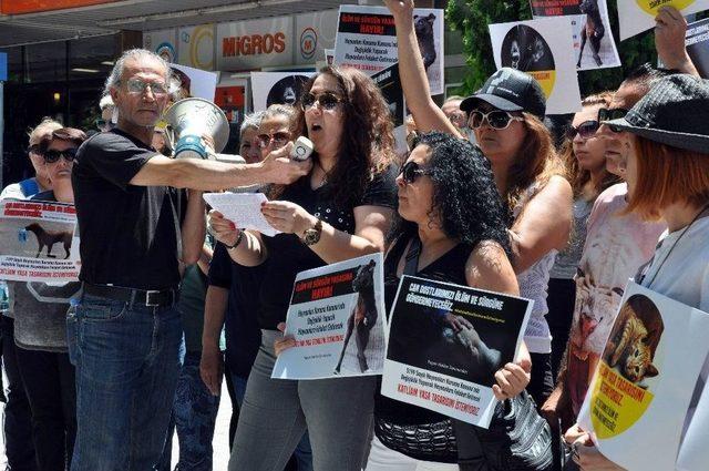Hayvanları Koruma Kanunundaki Değişiklik Tasarısı Protesto Edildi 2