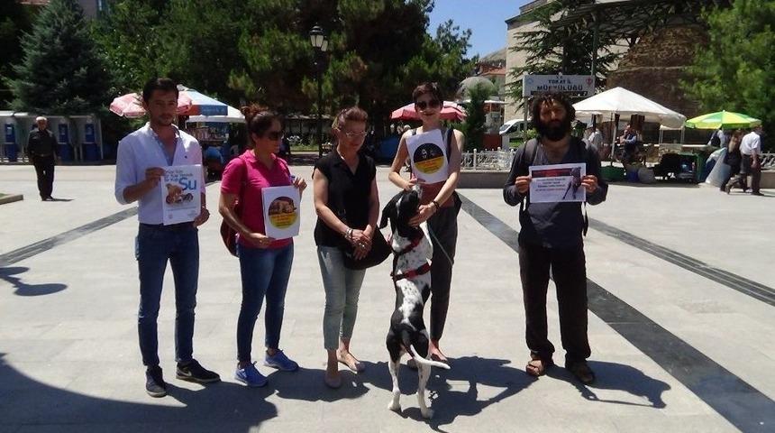 Tokat&rsquo;ta, Hayvan Hakları Savunucularından Yasa Tasarısı Tepkisi