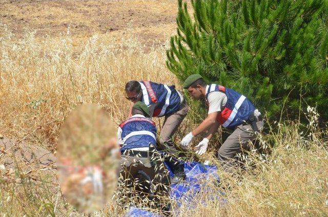 Emekli Başkomiser Ve Eşi Kazada Öldü