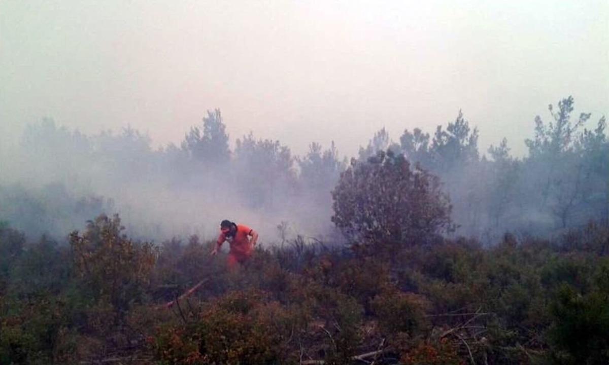 Anamur&rsquo;daki Orman Yangını, Şiddetli R&uuml;zgar Nedeniyle Kontrol Altına Alınamıyor