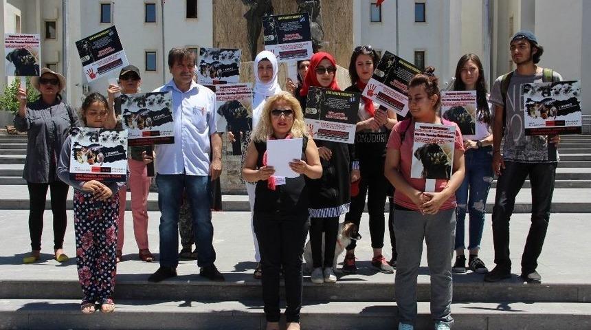 Anadolufed Temsilcisi D&ouml;rtkol: