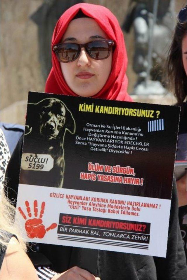 Anadolufed Temsilcisi D&ouml;rtkol: 1