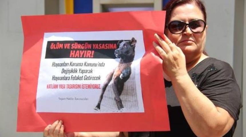 Edirne'de Hayvanseverler&nbsp;Yeni Yasa Tasarını Protesto Etti