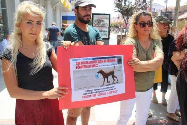 Edirne'de Hayvanseverler Yeni Yasa Tasarını Protesto Etti