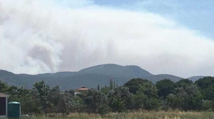 İzmir'de Orman Yangını