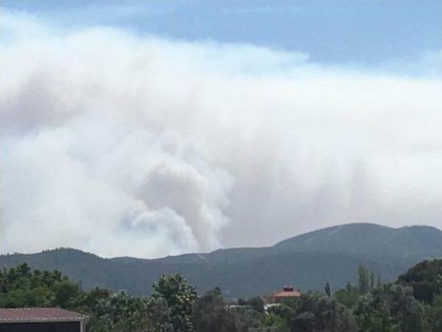 İzmir'de Orman Yangını