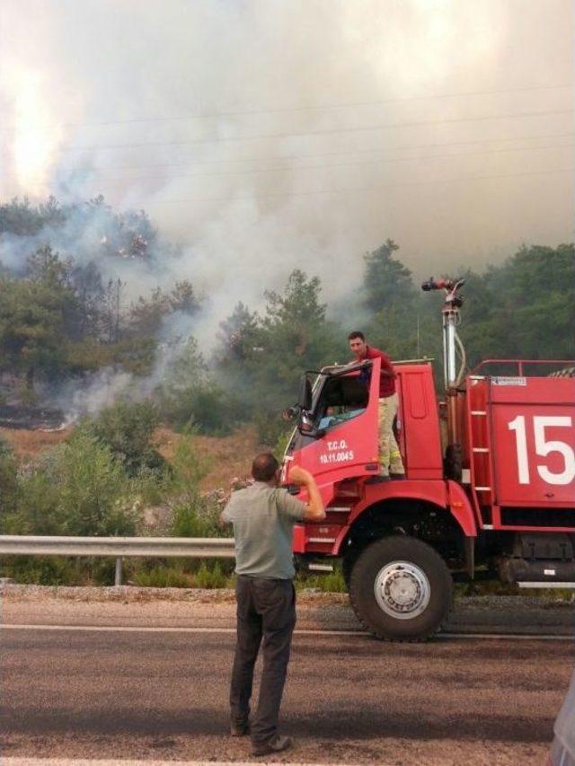 İzmir’deki Yangın İçin Herkes Teyakkuzda