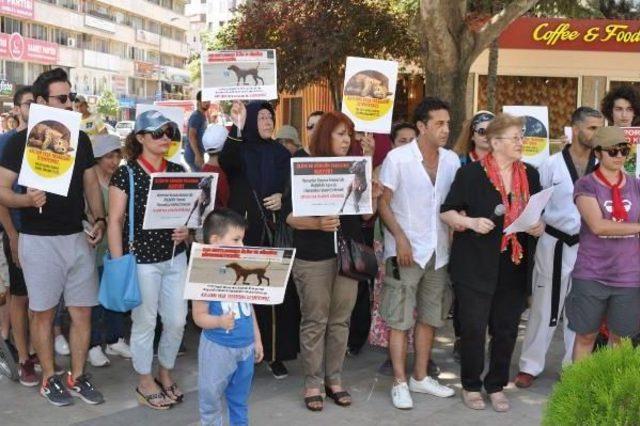 Hayvanseverlerden Yasa Tasarısına Tepki